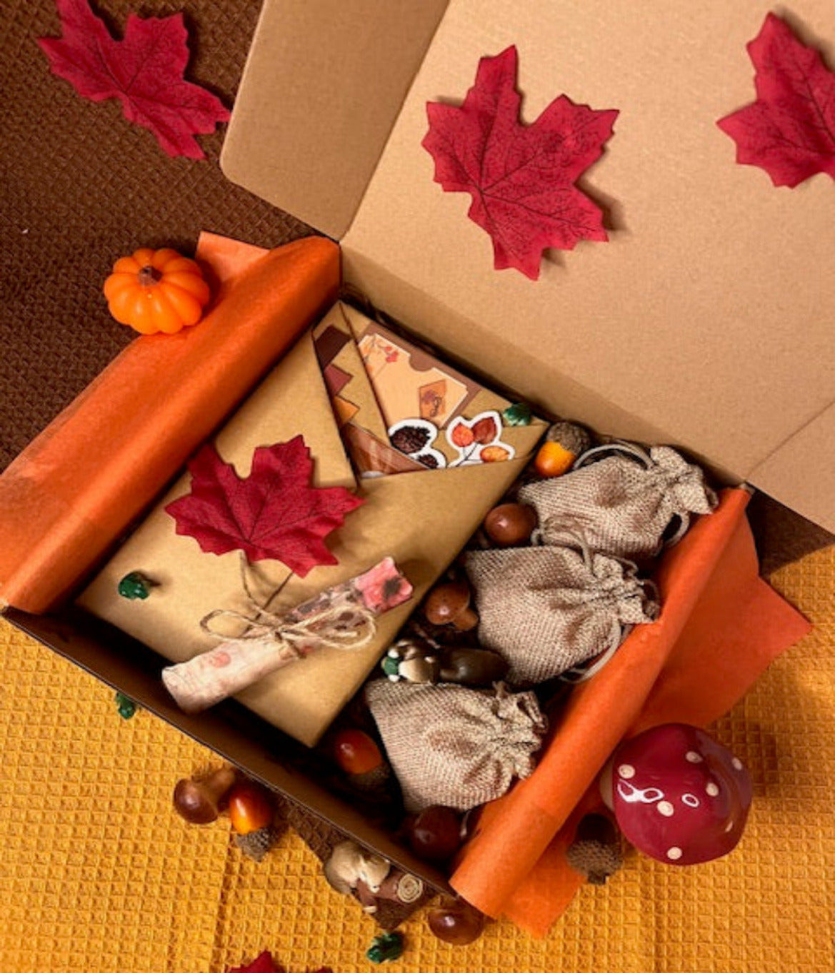 Box Automne 🍁🍂